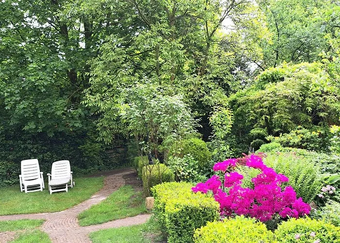 Guesthouse Vakantiehuis In Een Mooie Tuin In Het Centrum Van Zuidlaren!