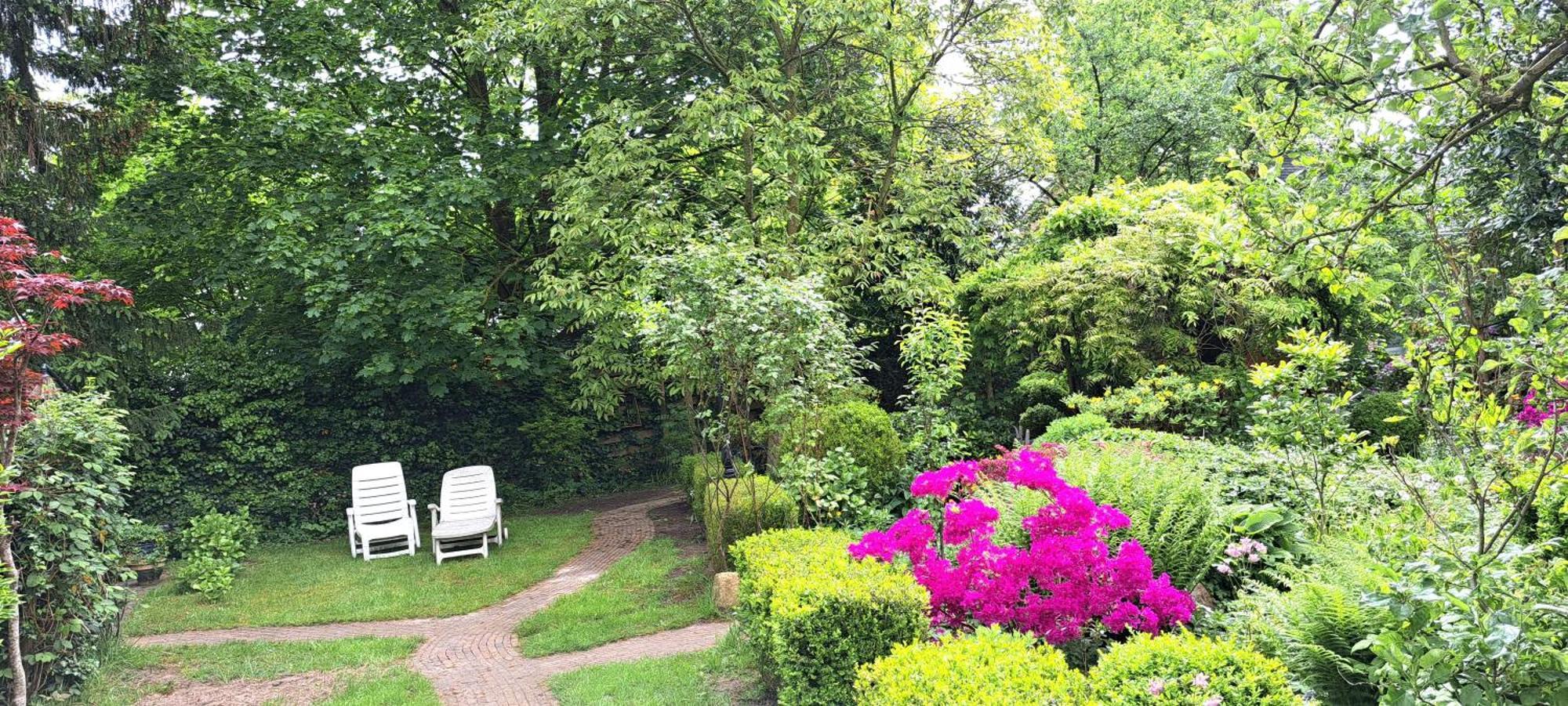 In Mooie Tuin In Het Centrum Zuidlaren! *