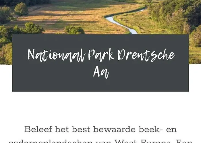 Guesthouse Vakantiehuis In Een Mooie Tuin In Het Centrum Van Zuidlaren!