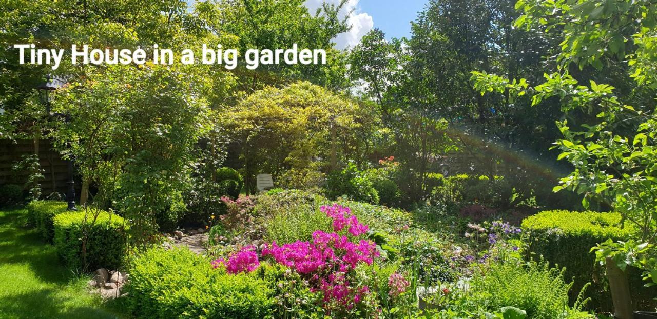 In Mooie Tuin In Het Centrum Zuidlaren! Casa de Férias *