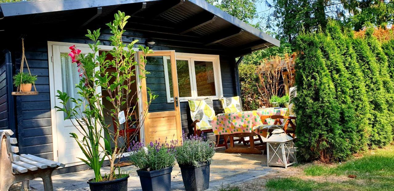 Casa de Férias In Mooie Tuin In Het Centrum Zuidlaren! *